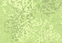 /album/photogallery/decoroll-last-mail-page-2-image-0023-jpg/