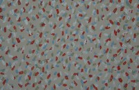 /album/photogallery/dscn0964-jpg/